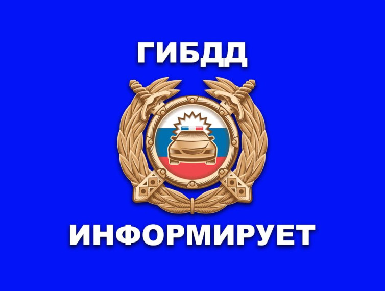 На дорогах Алтайского края сохраняется тенденция роста уровня детского дорожно-транспортного травматизма.